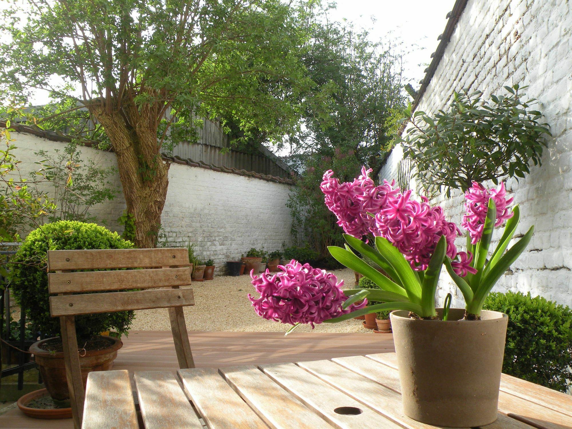 B&B Living In Brusel, Urban B&B Etterbeek Dış mekan fotoğraf